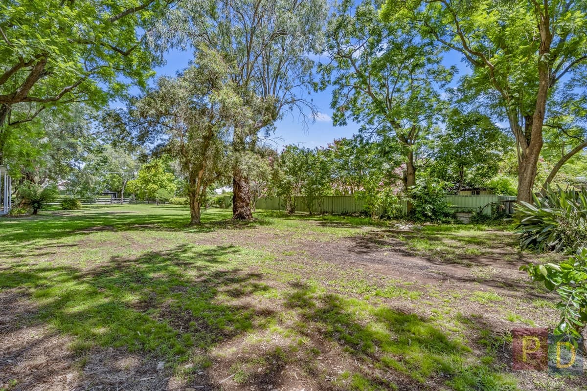 24 Dangar Road, Singleton NSW 2330, Singleton - Thumbnail 5