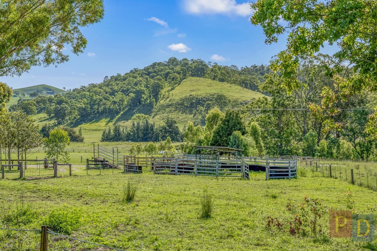 138 Gearys Crossing Road, Singleton NSW 2330, Singleton - Thumbnail 8