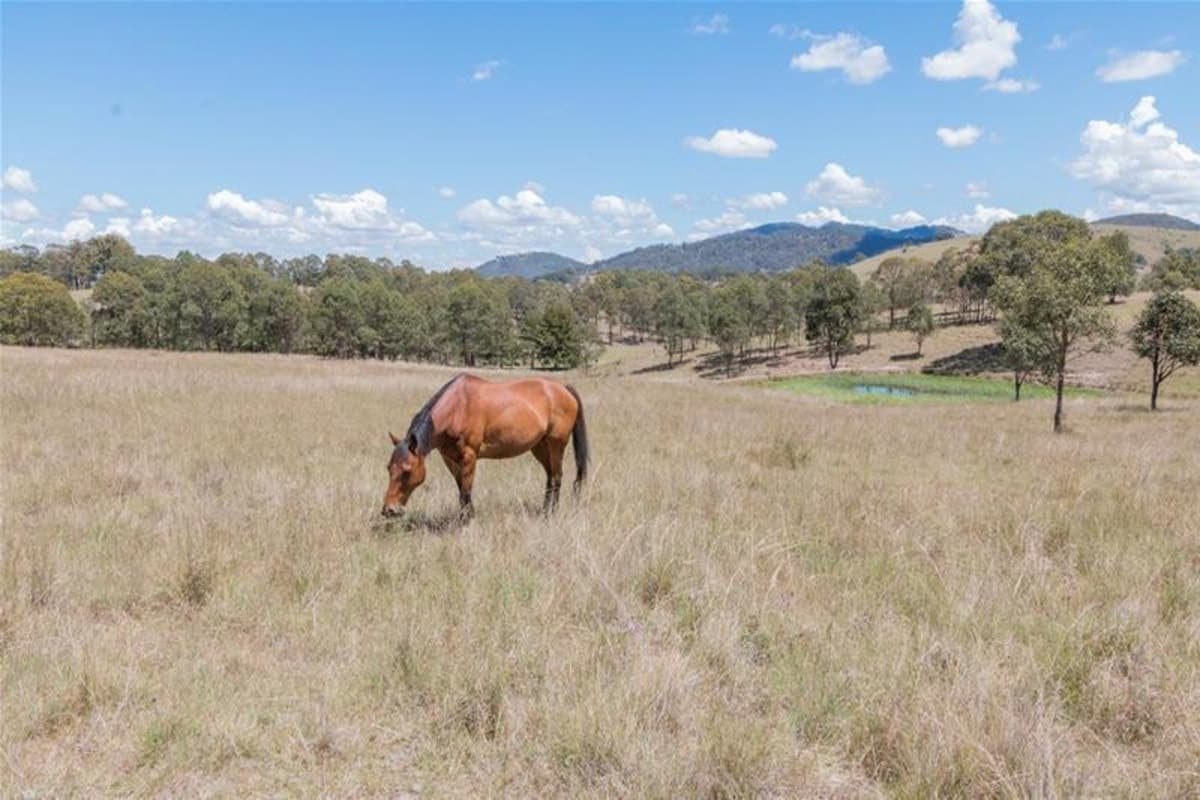 98 Manresa Park, SINGLETON NSW 2330, Singleton - Thumbnail 4
