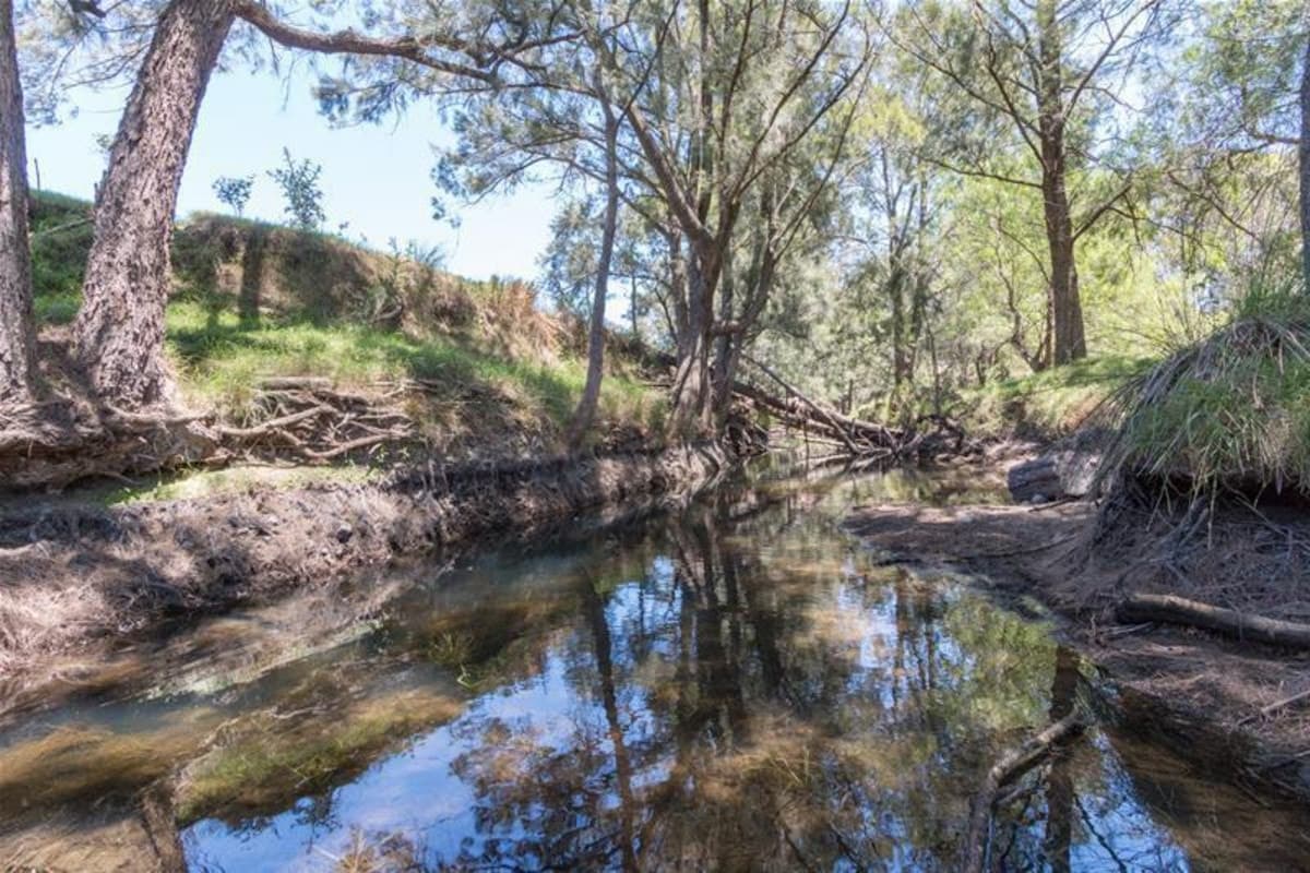 291 Goorangoola Creek Road, SINGLETON NSW 2330, Singleton - Thumbnail 6