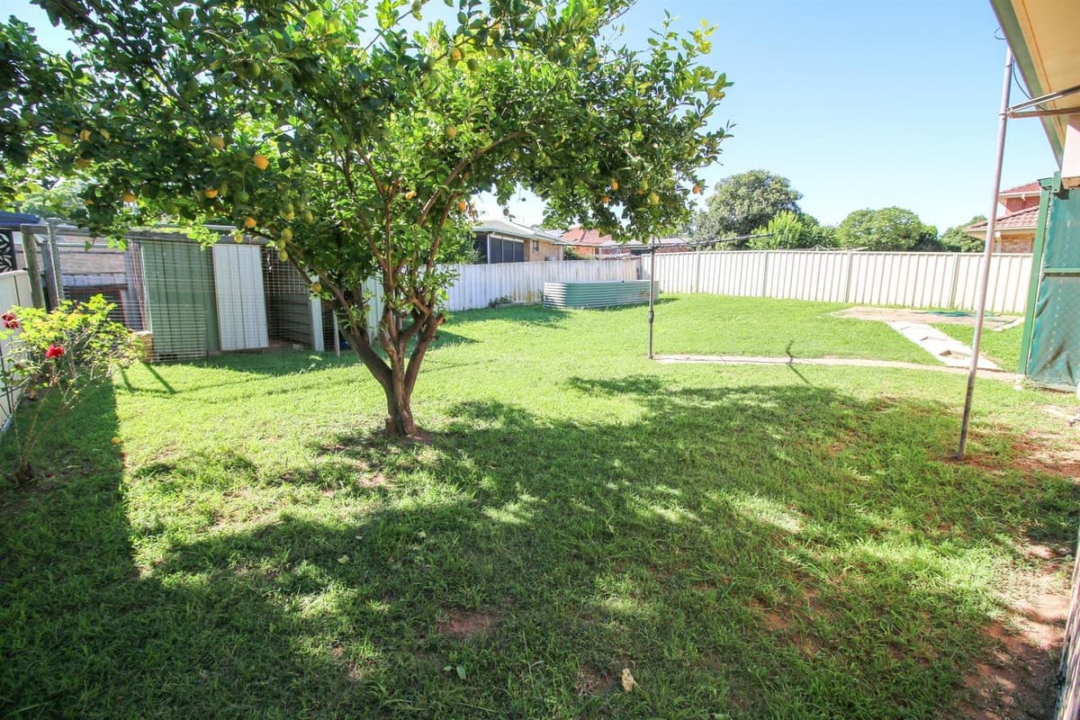 24 Waterhouse Avenue, SINGLETON NSW 2330, Singleton - Thumbnail 7