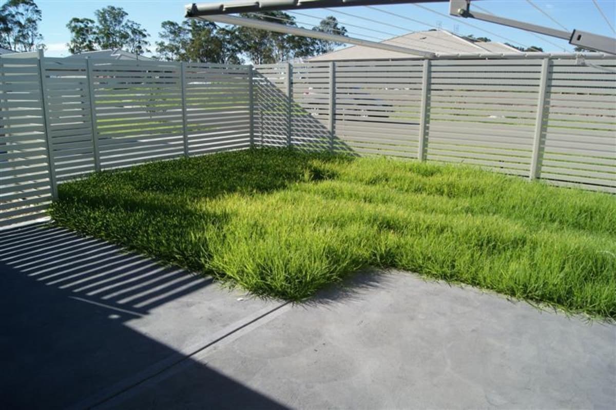 3 / 33 Broomfield Street, SINGLETON NSW 2330, Singleton - Thumbnail 6