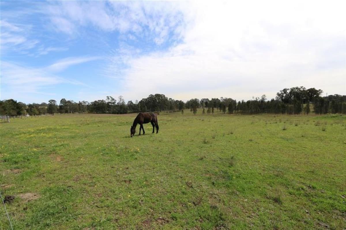 790 Bridgman Road, SINGLETON NSW 2330, Singleton - Thumbnail 2