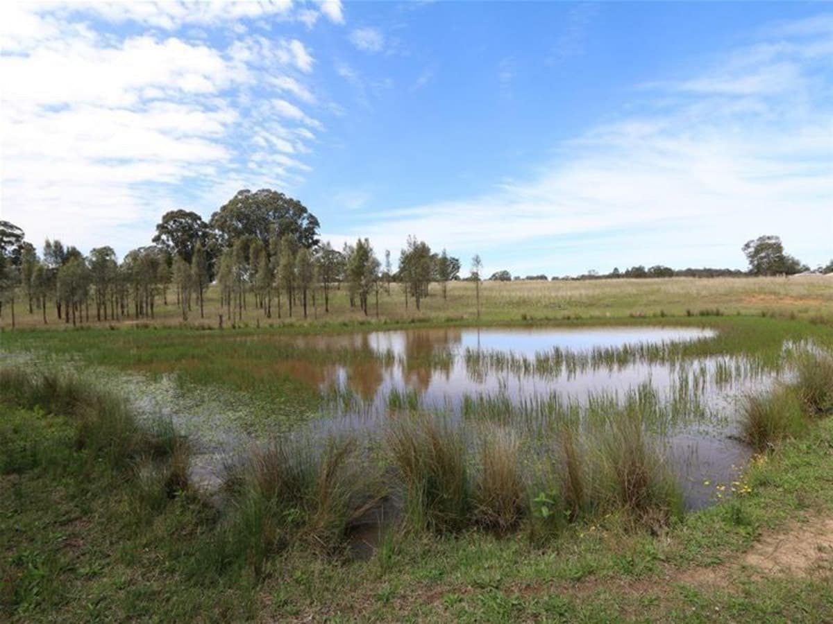 790 Bridgman Road, SINGLETON NSW 2330, Singleton - Thumbnail 3
