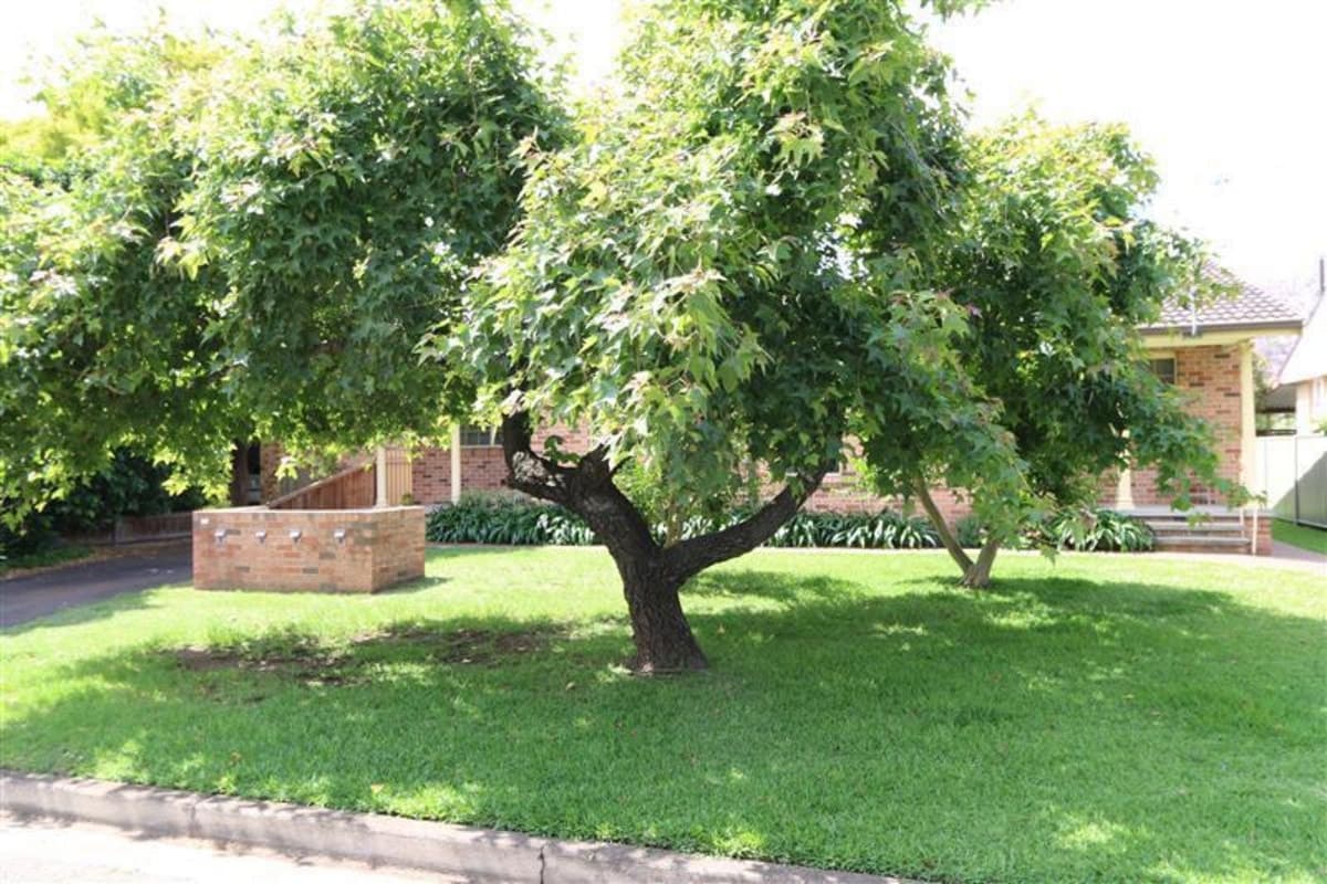 2 / 5 Curtis Street, SINGLETON NSW 2330, Singleton - Thumbnail 7