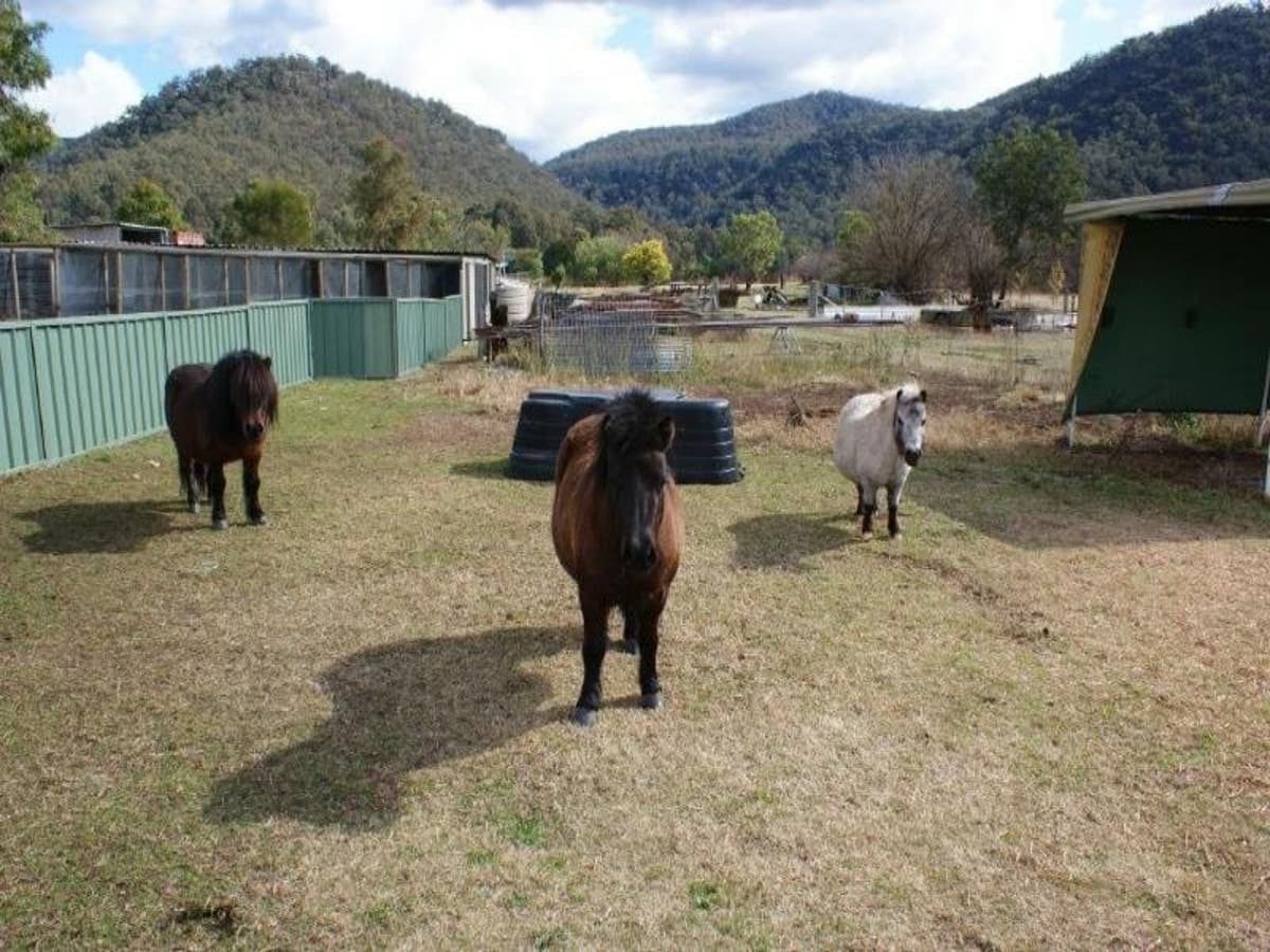 SINGLETON NSW 2330, Singleton - Thumbnail 7