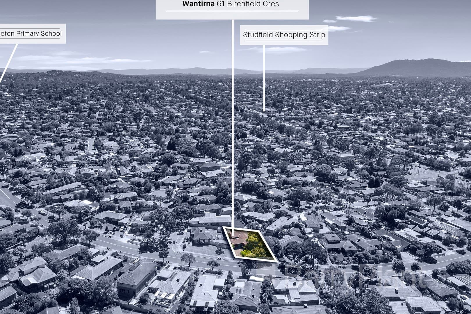 61 Birchfield CrescentWantirna, VIC 3152, Wantirna - Thumbnail 8