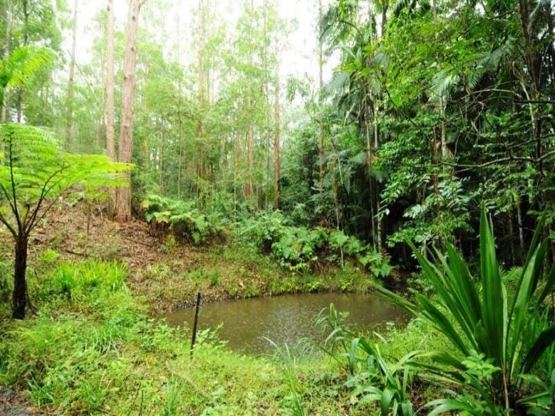 240 Paskins Road, Palmwoods, Palmwoods - Thumbnail 6