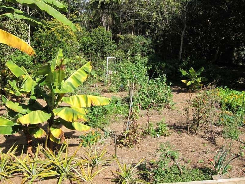 11 Churchill St, Palmwoods, Palmwoods - Thumbnail 8