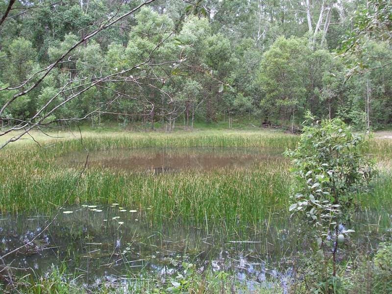 92-110 Oakey Creek Road, Gheerulla, Gheerulla - Thumbnail 2