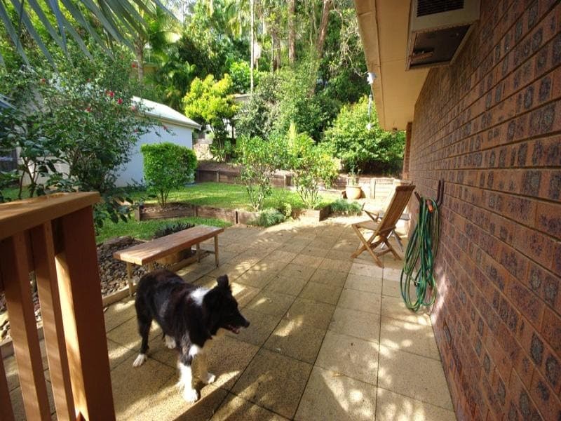6 Taronga Street, Palmwoods, Palmwoods - Thumbnail 7
