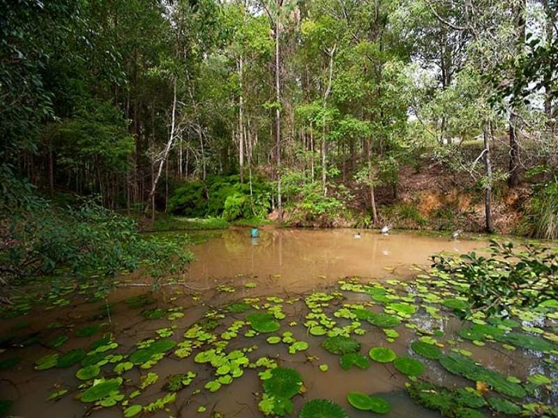 26 Cardinal Court, Palmwoods, Palmwoods - Thumbnail 4