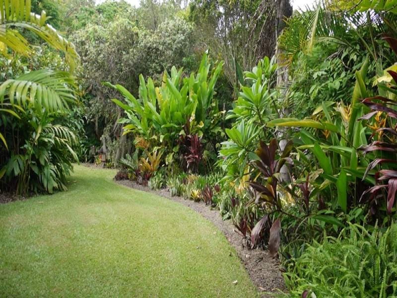 98 Macdonald Road, Palmwoods, Palmwoods - Thumbnail 2