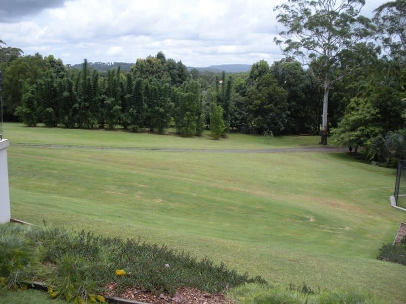 278 Old Palmwoods Road, Palmwoods, Palmwoods - Thumbnail 7