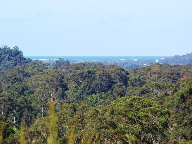 13 Hilary Crescent, Woombye, Woombye - Thumbnail 3