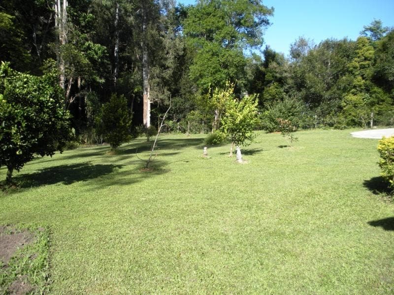 114 Diddillibah Road, Woombye, Woombye - Thumbnail 5