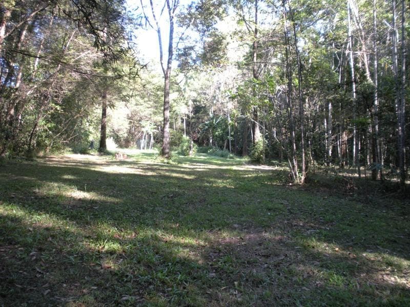 114 Diddillibah Road, Woombye, Woombye - Thumbnail 8