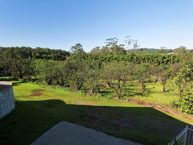 207 Winston Road, Palmwoods, Palmwoods - Thumbnail 3