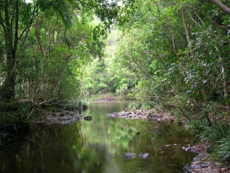 576 Image Flat Road, Kureelpa, Kureelpa - Image 1