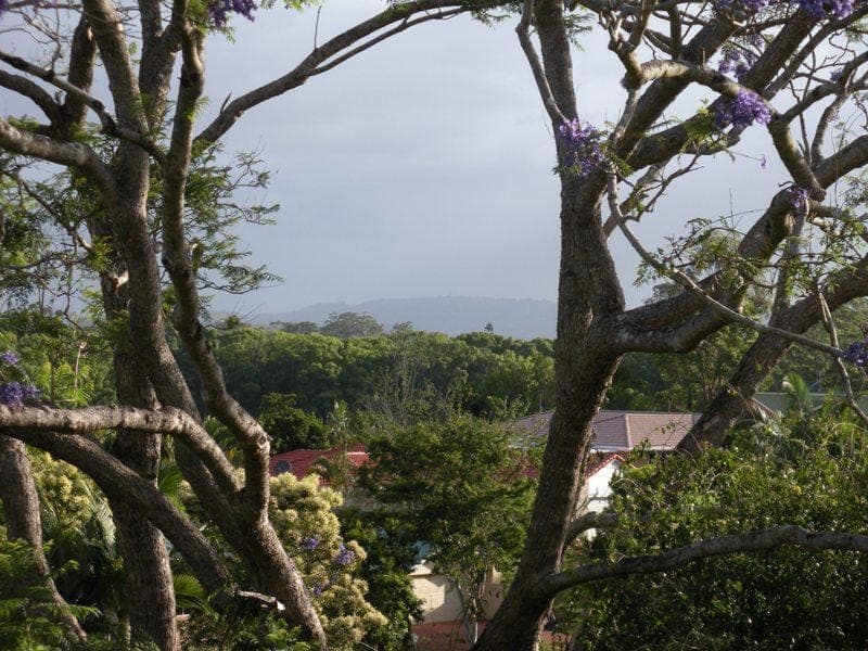 72 Cobbs Road, Woombye, Woombye - Thumbnail 2