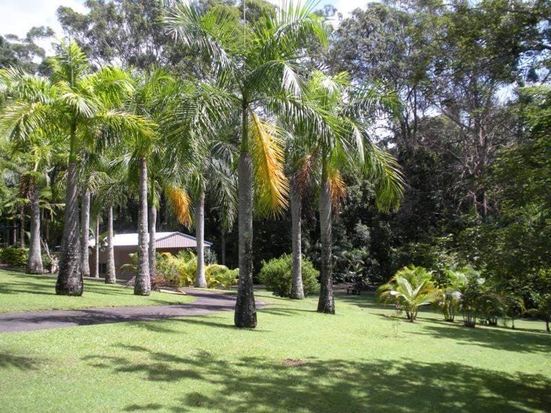 6 Diedrichs Court, Palmwoods, Palmwoods - Thumbnail 8