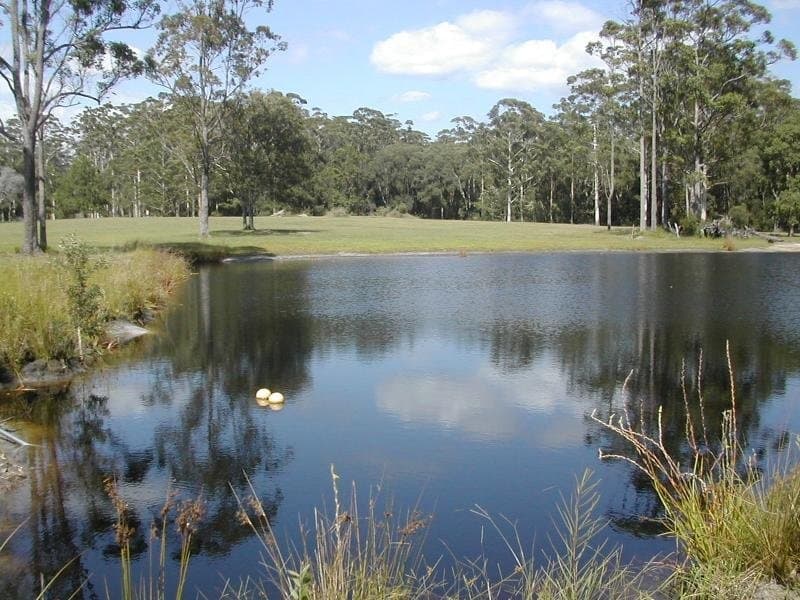 Lot , 23 Tania Avenue, Palmwoods, Palmwoods - Image 1