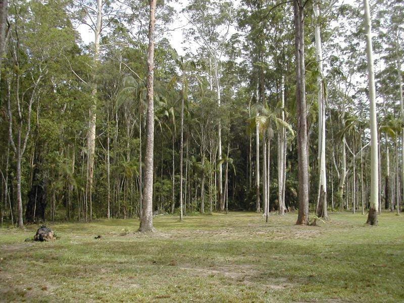 Lot , 23 Tania Avenue, Palmwoods, Palmwoods - Thumbnail 6
