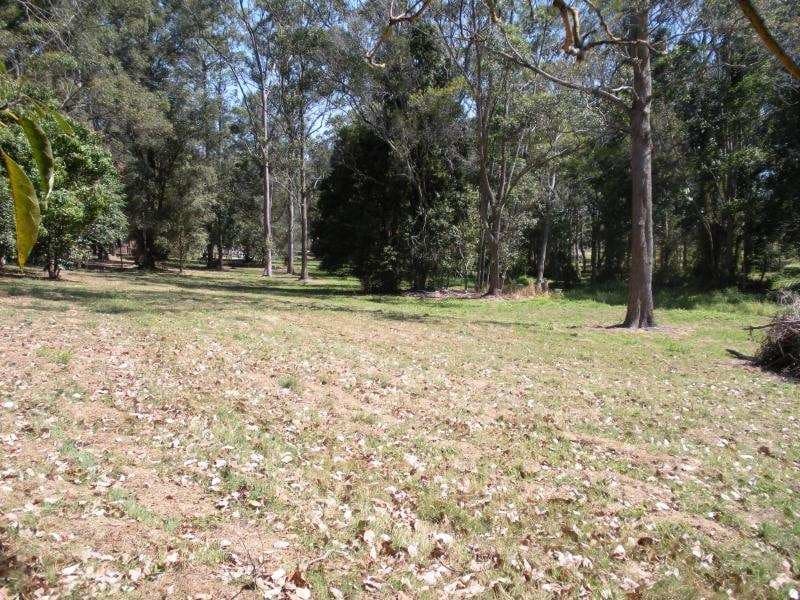 55 Palmwoods School Road, Palmwoods, Palmwoods - Thumbnail 5
