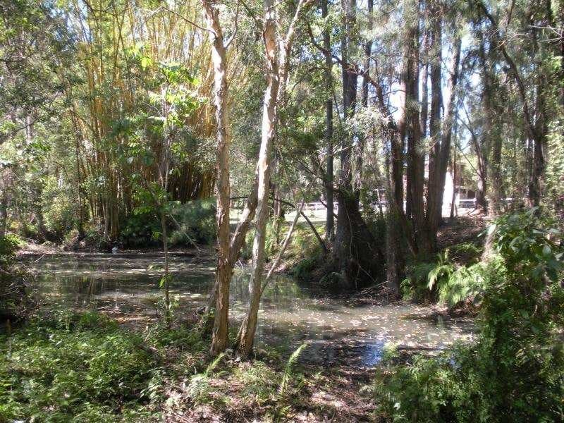 55 Palmwoods School Road, Palmwoods, Palmwoods - Thumbnail 6