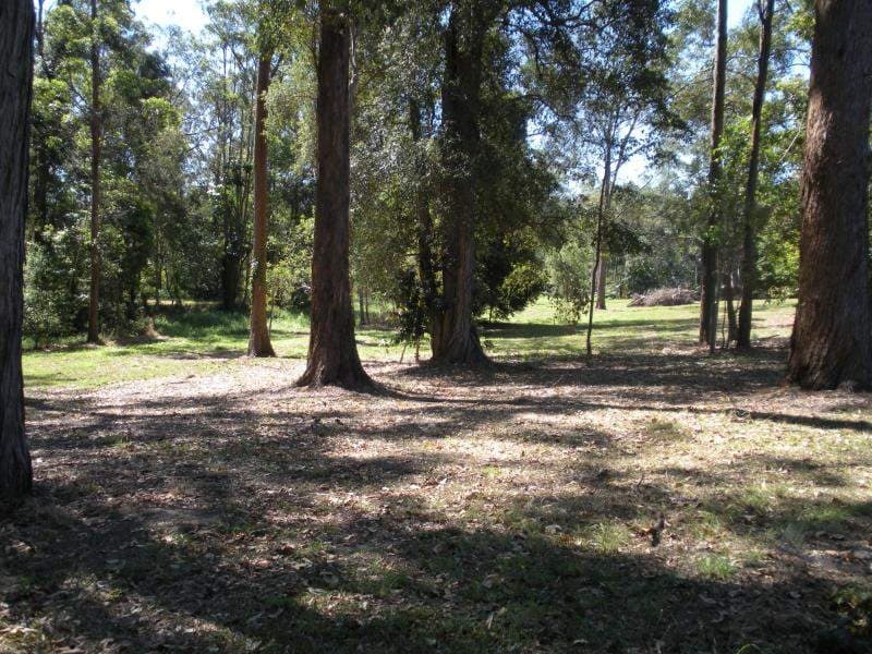 55 Palmwoods School Road, Palmwoods, Palmwoods - Thumbnail 7