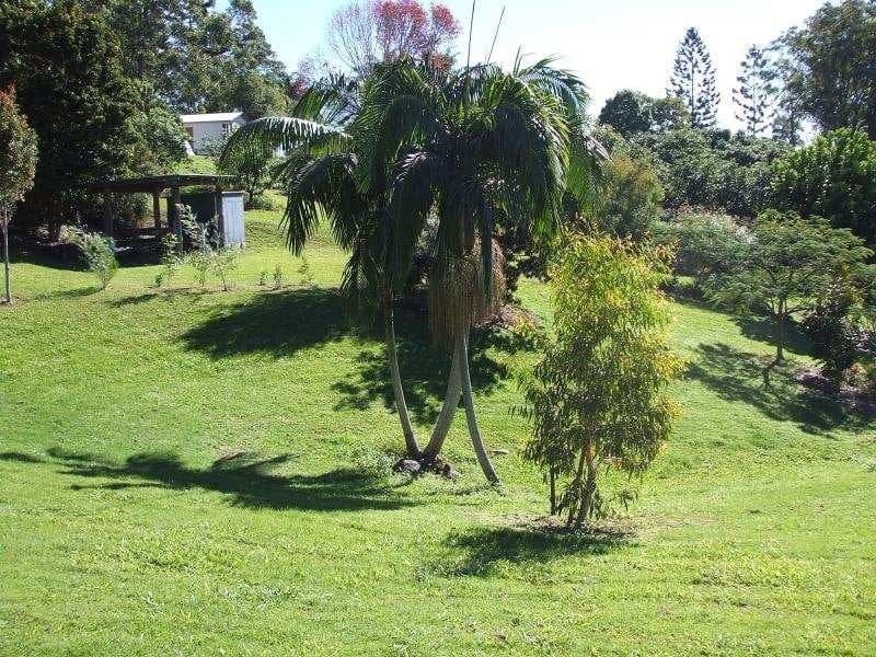11 Nicklin Lane, Palmwoods, Palmwoods - Thumbnail 7
