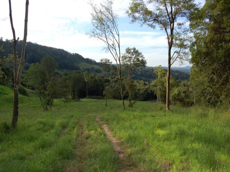Lot , 104 Barsons Road, Montville, Montville - Thumbnail 4