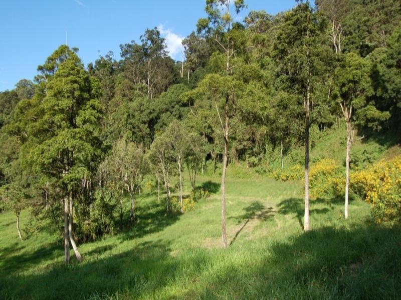 Lot , 104 Barsons Road, Montville, Montville - Thumbnail 5