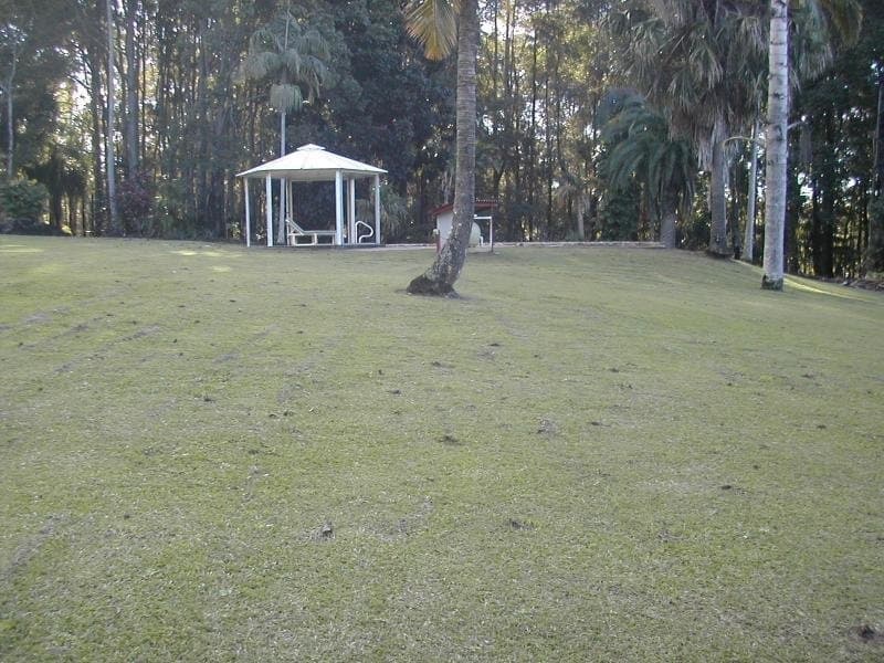 274 Yandina Cooloolabin Road, Yandina, Yandina - Thumbnail 5