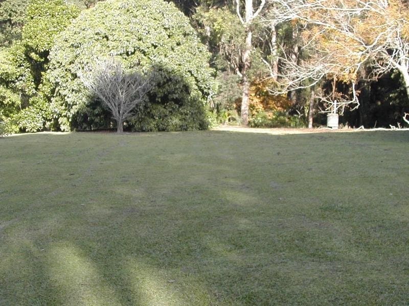274 Yandina Cooloolabin Road, Yandina, Yandina - Thumbnail 7
