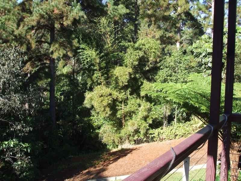 350 Diddillibah Road, Diddillibah, Diddillibah - Thumbnail 8