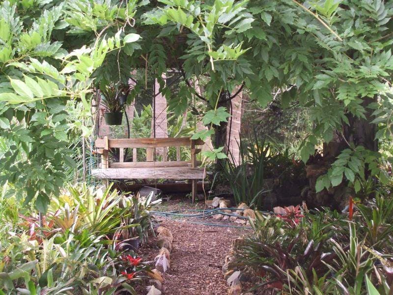 30 MARY CAIRNCROSS AVENUE, Maleny, Maleny - Thumbnail 8