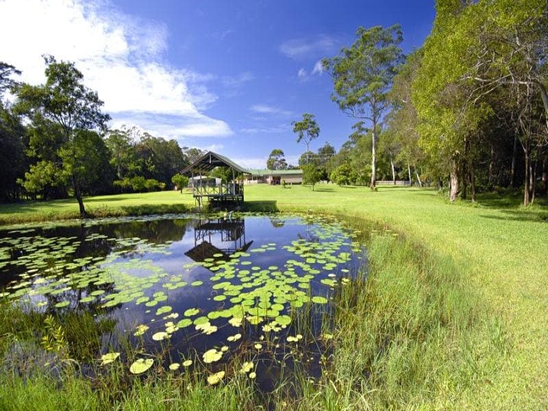 50 Dunning Street, Palmwoods, Palmwoods - Thumbnail 6