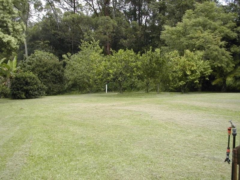 254 Upper Landershute Rd, Palmwoods, Palmwoods - Thumbnail 7