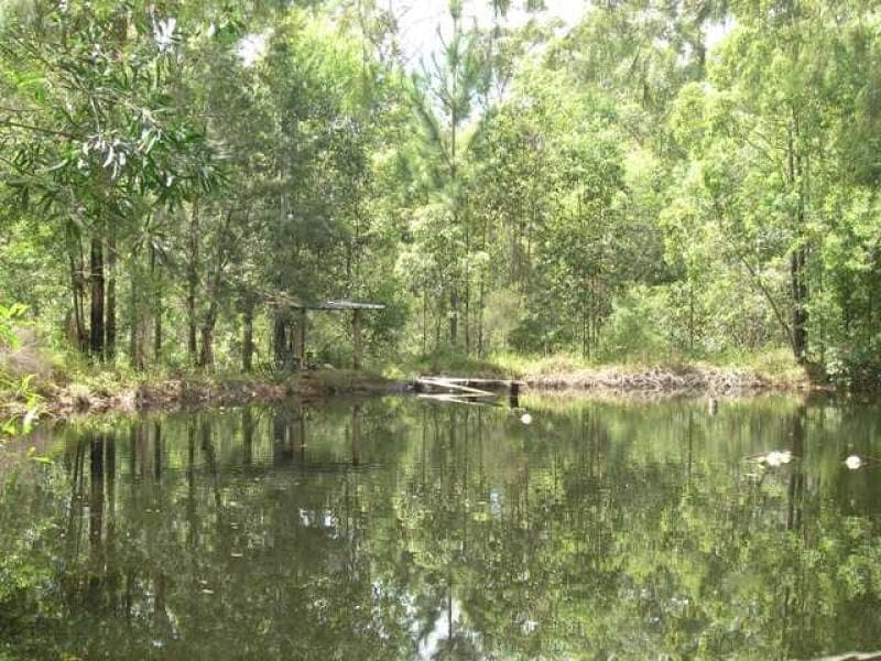 288 Sippy Creek Rd, Tanawha, Tanawha - Thumbnail 2