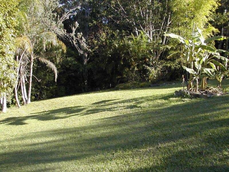 142 McKees Road, Palmwoods, Palmwoods - Thumbnail 6
