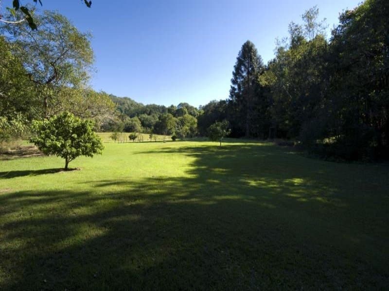 93 MacDonald Road, Palmwoods, Palmwoods - Thumbnail 3