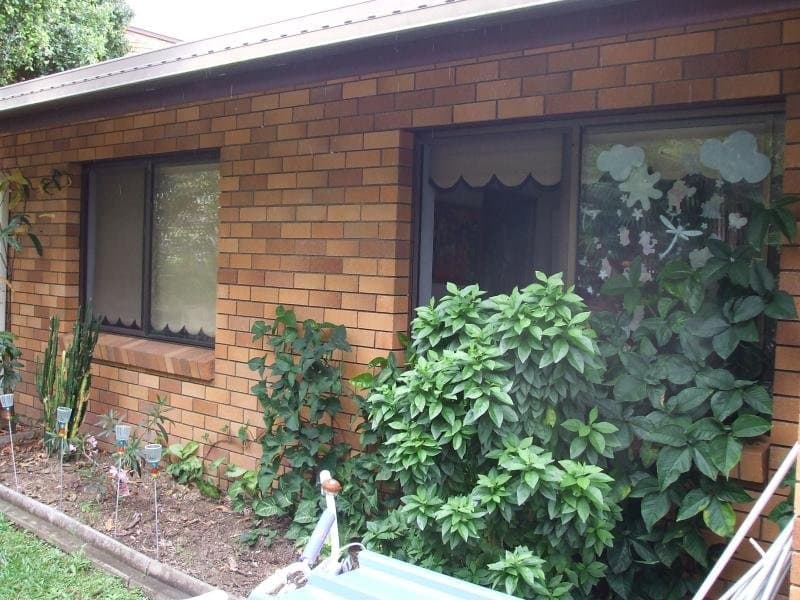 7 BLAXLAND STREET, Nambour, Nambour - Thumbnail 4