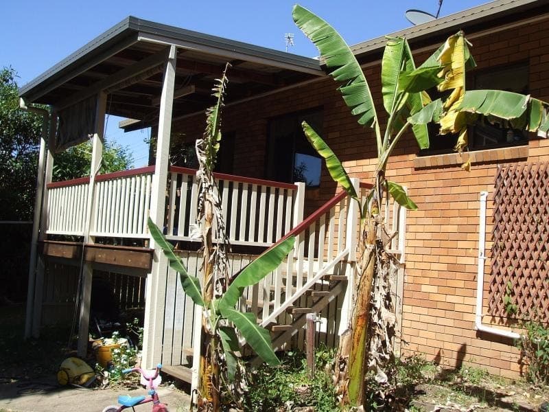 7 BLAXLAND STREET, Nambour, Nambour - Thumbnail 7