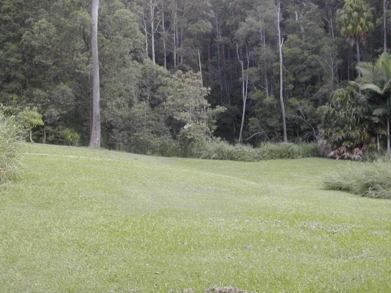 100 Chevallum School Rd, Chevallum, Chevallum - Thumbnail 2