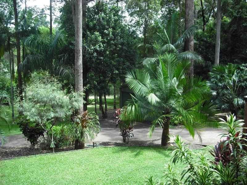 139 WINSTON ROAD, Palmwoods, Palmwoods - Thumbnail 6