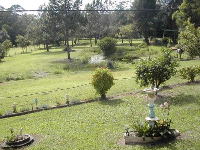 98 Dales Rd, Chevallum, Chevallum - Thumbnail 2