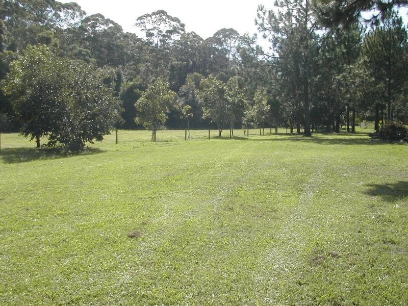 98 Dales Rd, Chevallum, Chevallum - Thumbnail 5