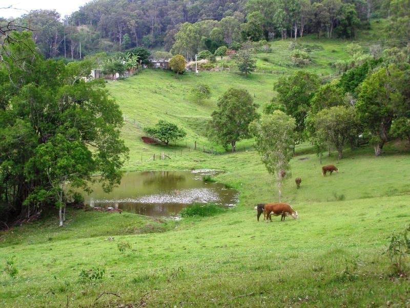 125 SHURVELL ROAD, Palmwoods - Image 1