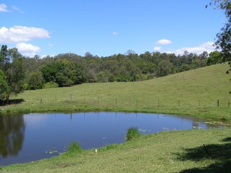 125 SHURVELL ROAD, Palmwoods - Thumbnail 4